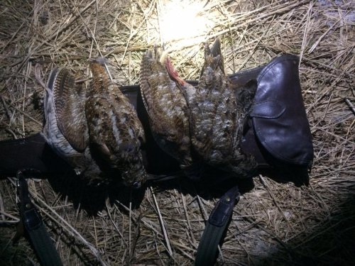 Хорошо оттянулись с товарищем :)