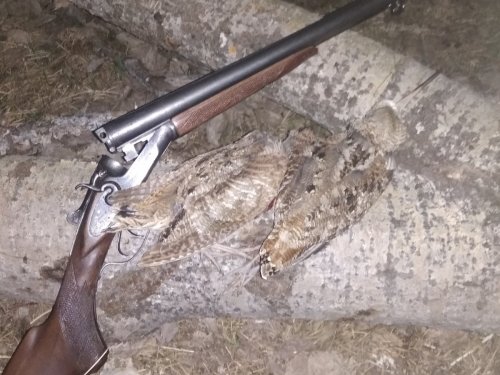 Тяга удалась