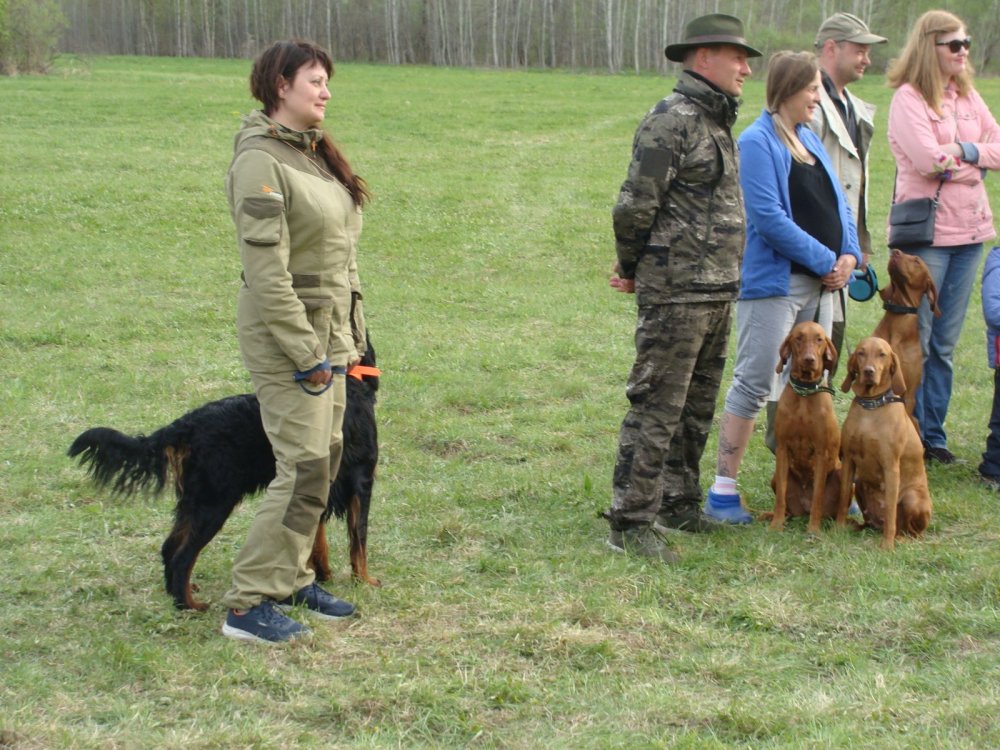 испытание по дупелю