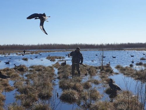 Падает