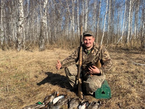 Селезни этой весны