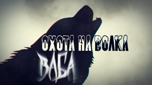 Охота на волка с Белорусским волчатником