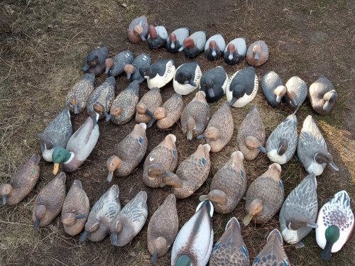 Огрузка чучел уток речных и нырковых пород производства ТК Тайга
