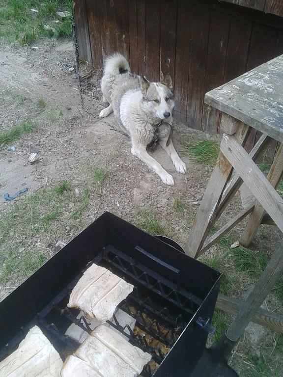 Малыш