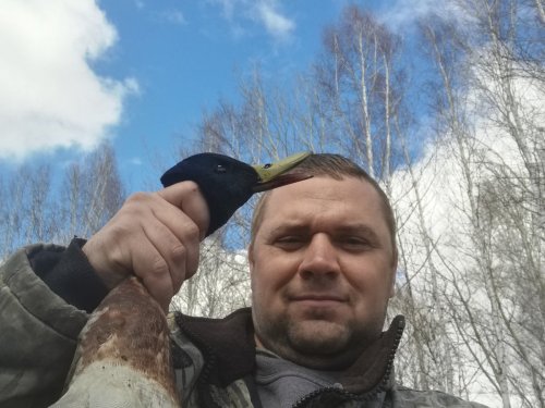 Первый пошел.