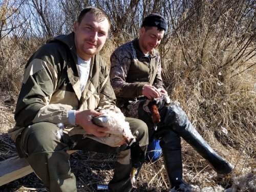 Процесс в разгаре