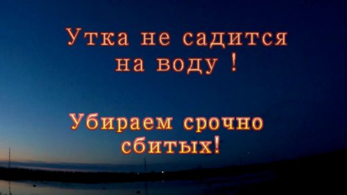 Приобье 2019 _ Охота на уток!
