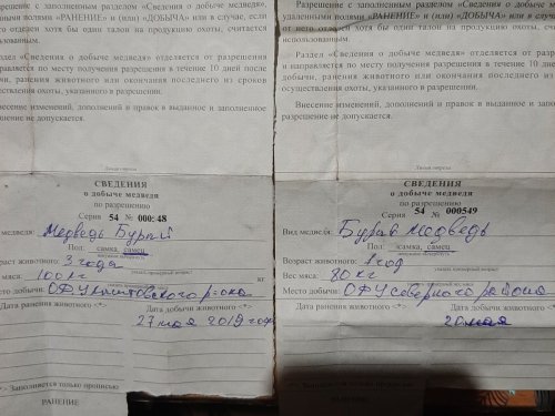 До осени.