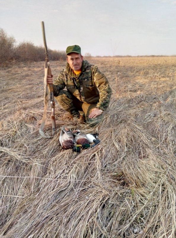 Весна 2019