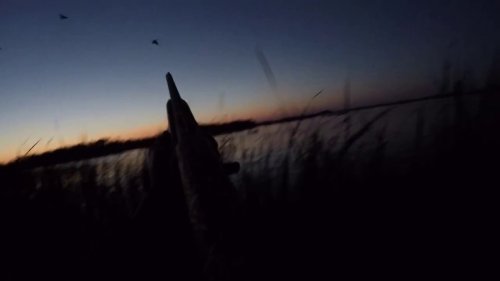 ВЕЧЕРНЯЯ ОХОТА НА УТОК 2017.МР-155.GO PRO.
