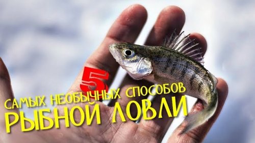 5 САМЫХ НЕОБЫЧНЫХ СПОСОБОВ РЫБНОЙ ЛОВЛИ
