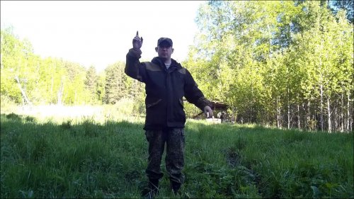 Посев полей в лесу для кабана и медведя. Биотехния 2019