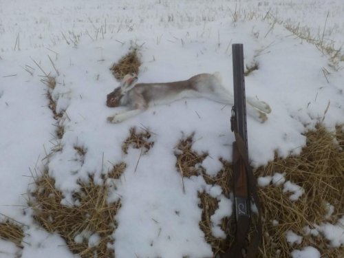 Вспомнить зиму.