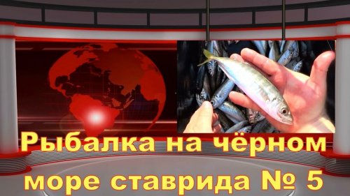 Рыбалка на чёрном море ставрида № 5