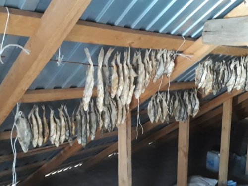 "Закрома" родного дома)))