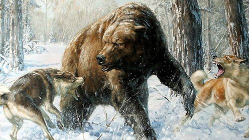 Какие документы нужно иметь для охоты с собакой охотничьей породы в 2019 году.