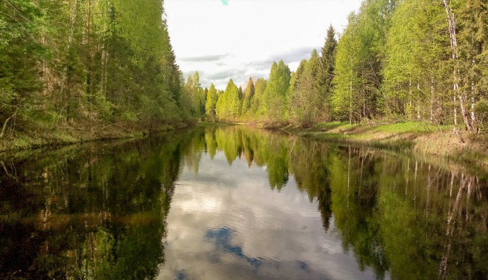 р. Вонжуга
