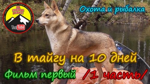 В тайгу на 10 дней. 1 фильм.  /1 часть/