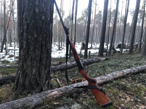 Иж 17 на глухаринном току.