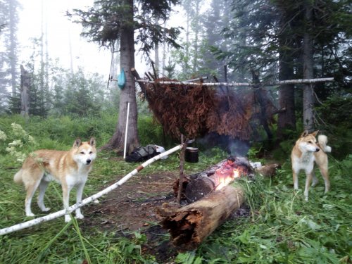 Бивак