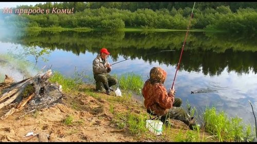 Рыбалка. Попали на клёв плотвы.