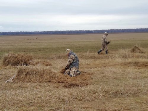Весенняя охота на гуся 2019. МО, неудачно выбранное направление.