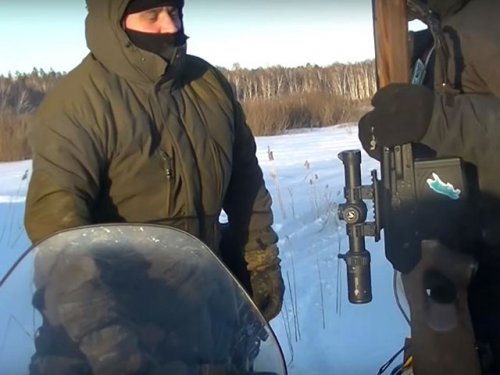 Начальник ГИБДД попал в суд за убитого кабана в Новосибирской области