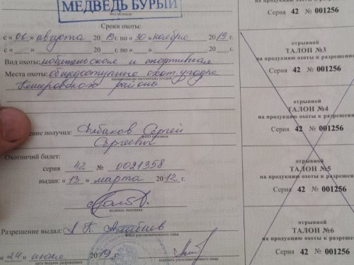 осень 2019г.