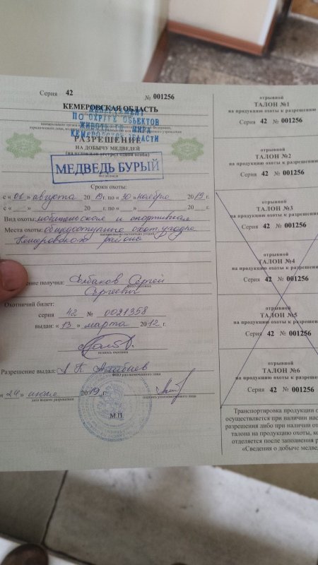 осень 2019г.