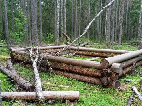 брошенное строительство