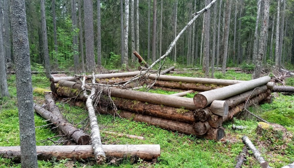 брошенное строительство