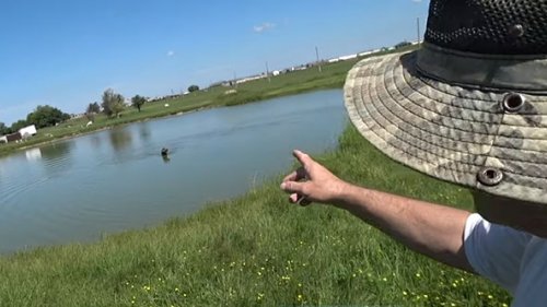 Дратхаар Дон достает чучалки