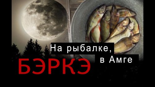 БЭРКЭ. Рыбалка на реке Амга в Якутии.//Fishing in Yakutia.