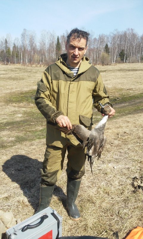 Весна 2019