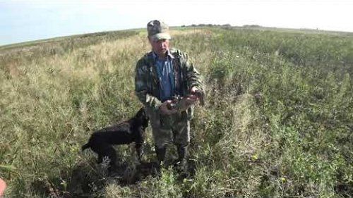 Охота на уток "Родные края 2" ОСЕНЬ (Duck hunter autumn)