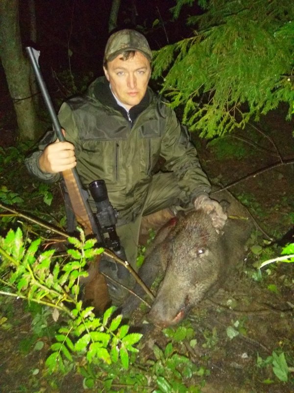 Вепрь на овсах
