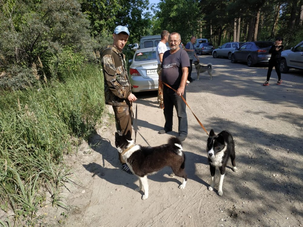 РЕЛ