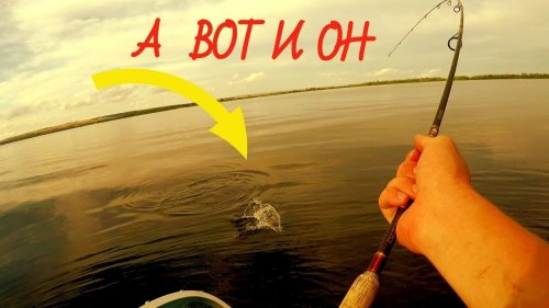 ВОТ ЭТО ПОКЛЕВИЩЕ!!! Ловля ЖЕРЕХА. Матюха отличился!!!Рыбалка на Волге. Fishing.