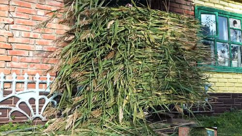 Топовая маскировка за 50р. Укрытие для утиной и гусиной охоты