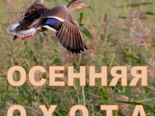 Открытие осенне-зимнего сезона 2019 года в Омской области