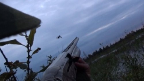 Охота на утку, Открытие осень 2019 (Duck hunting, Opening season 2019)