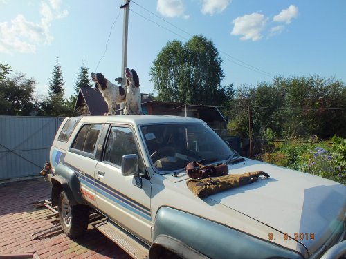 А где же утка, ну где же эта утка!