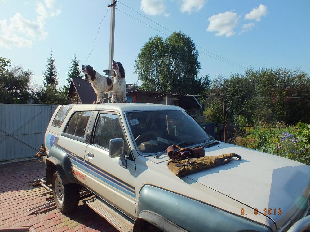 А где же утка, ну где же эта утка!