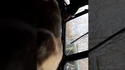 Еао беспредел гегельского охот инспектора и его шестерок