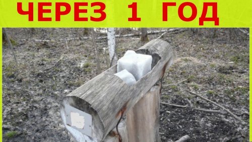 Солонцы для зайца, спустя 1 год