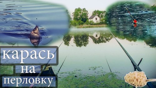 Карась активно АТАКУЕТ перловку, ловля, поклёвки, вываживание