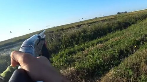 Охота на утку "Как с пулемета"