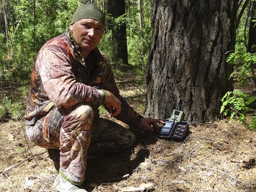 Тест фотоловушек Filin-200 LTE/4G и  SEELOCK S378