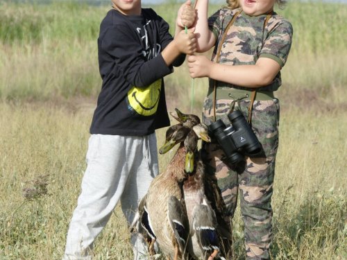 С полем