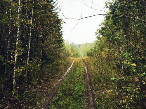 едем